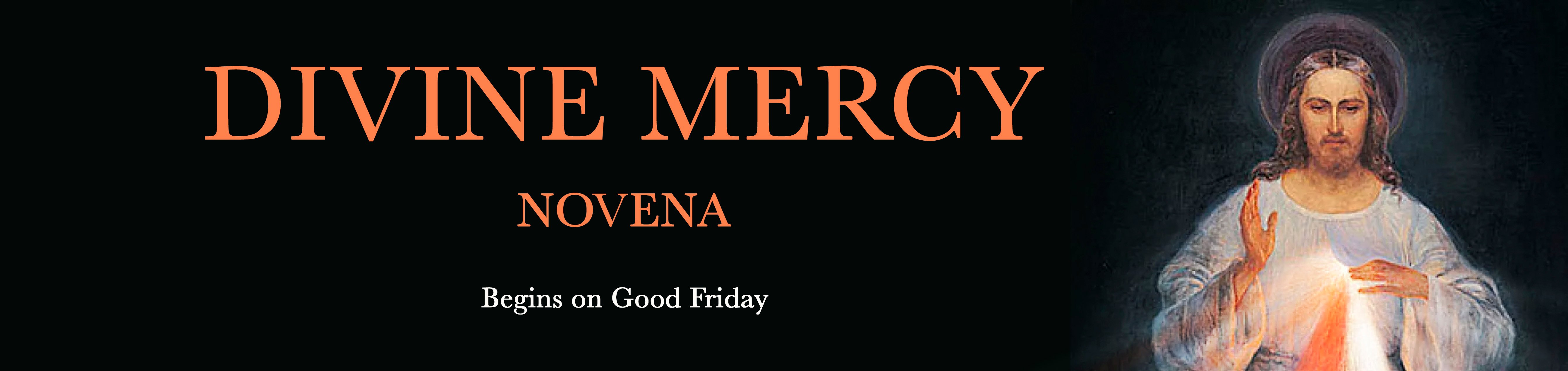 Divine Mercy banner.jpg